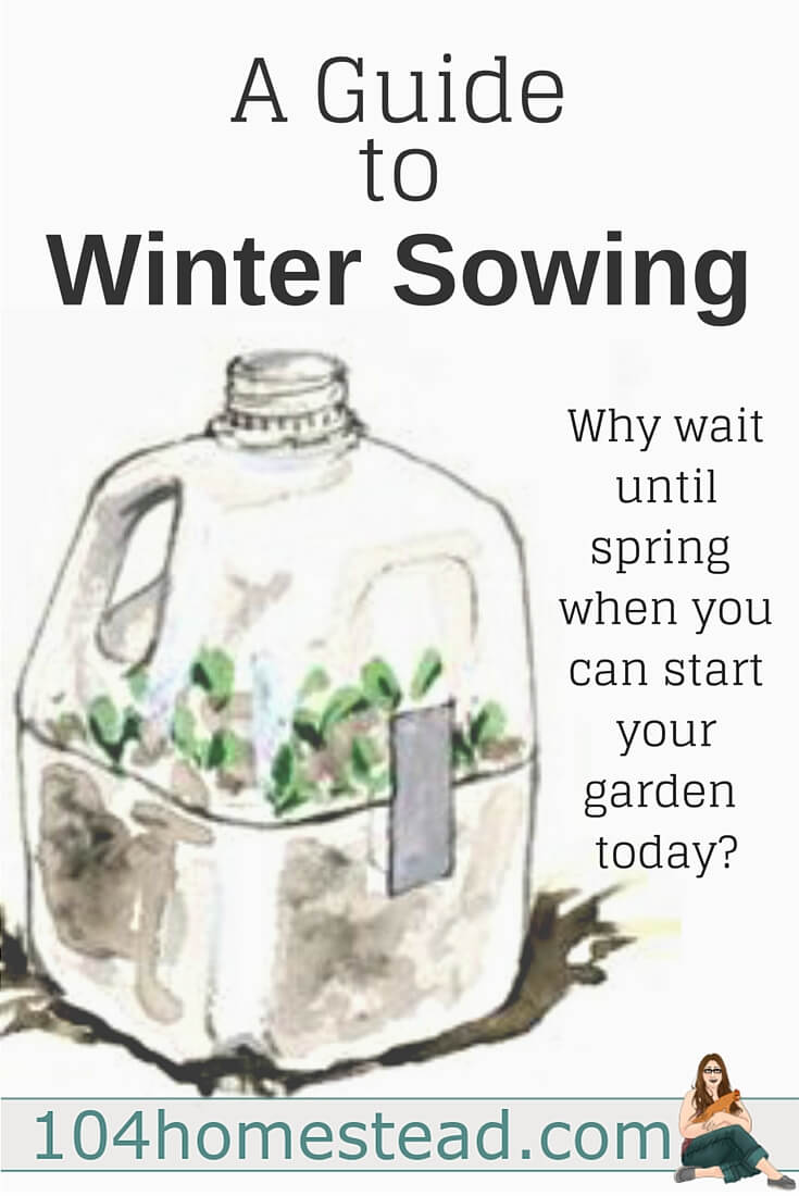 A Guide to Winter Sowing {Starting Seeds in Winter}