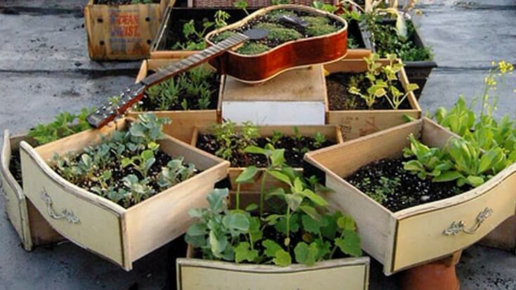 A guitar being used as planter on top of dresser drawers, also being used as planters.
