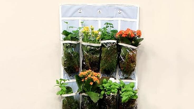 A plastic hanging shoe organizer being used as a planter for flowers and herbs.