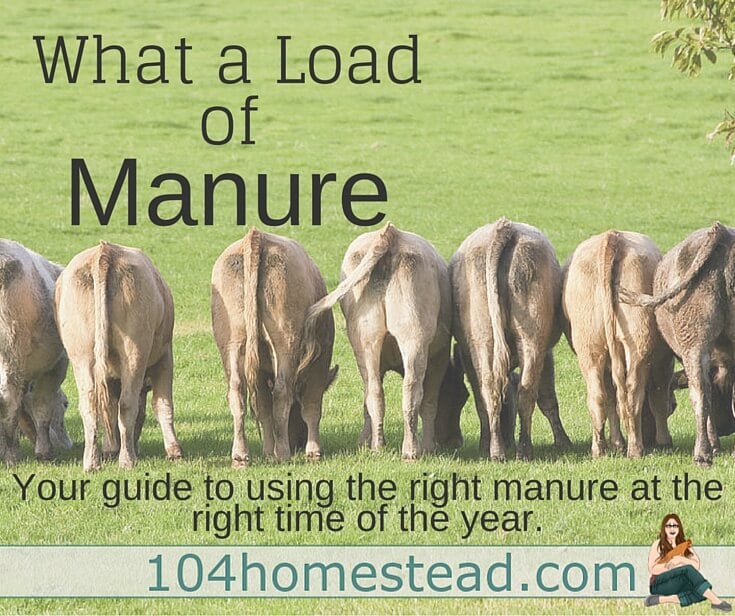 What a load of… Manure