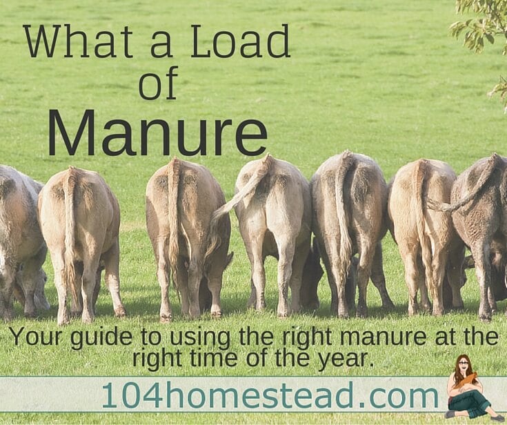 All About Manure The Scoop On Poop