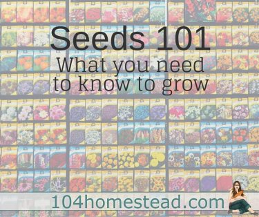 Discover to get your seeds, how to choose the type you want and best of all, I'll cover what are the jargon on the seed packet means.