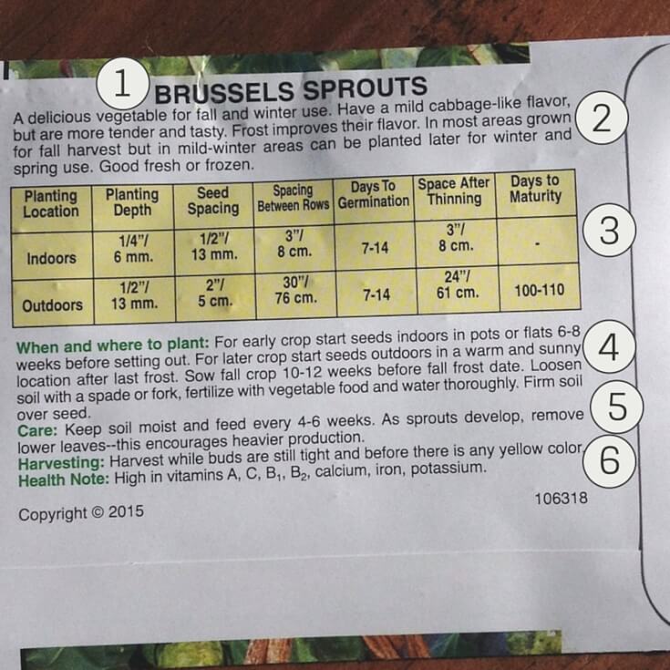 Discover to get your seeds, how to choose the type you want and, best of all, I'll cover what the jargon on the seed packet means so you know how to plant.