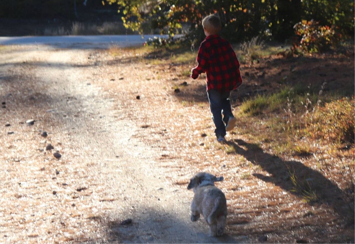 A young child in a red plaid shirt running down a dirt path with a small dog trailing behind.