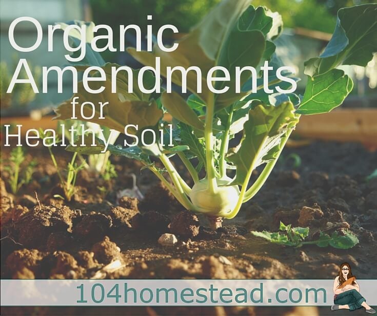 Plant your produce in rich, healthy soil. Go a step further and choose organic and natural amendments to enhance your soil quality and correct imbalances.