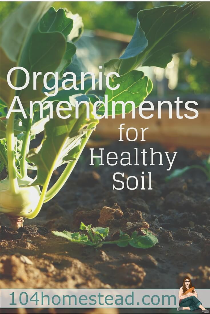 Plant your produce in rich, healthy soil. Go a step further and choose organic and natural amendments to enhance your soil quality and correct imbalances.