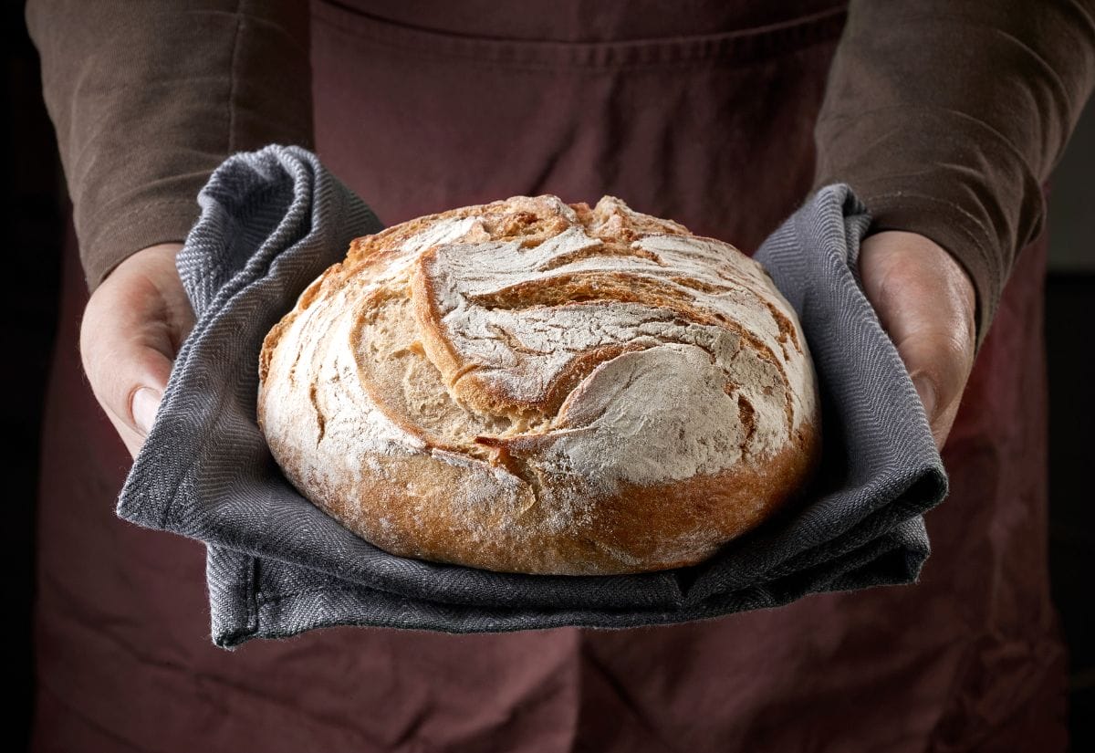 A person holding a freshly baked rustic loaf on a cloth.