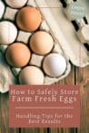 A rustic image of farm-fresh eggs in a carton, showcasing safe storage practices for home use.