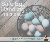 Safe Egg Handling Practices
