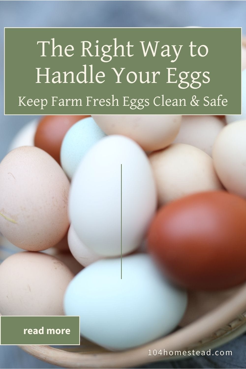 A basket filled with colorful farm-fresh eggs, illustrating proper egg-handling techniques.