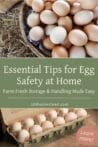 A collection of fresh eggs in a carton and a basket, highlighting tips for egg storage and handling.