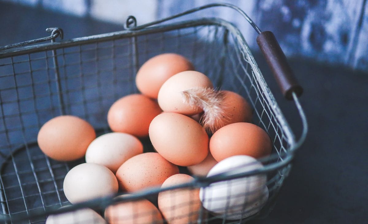 A wire basket filled with farm fresh eggs of various colors, with a small feather resting on top.