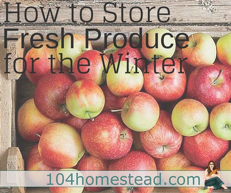 How to Store Fresh Produce for Winter