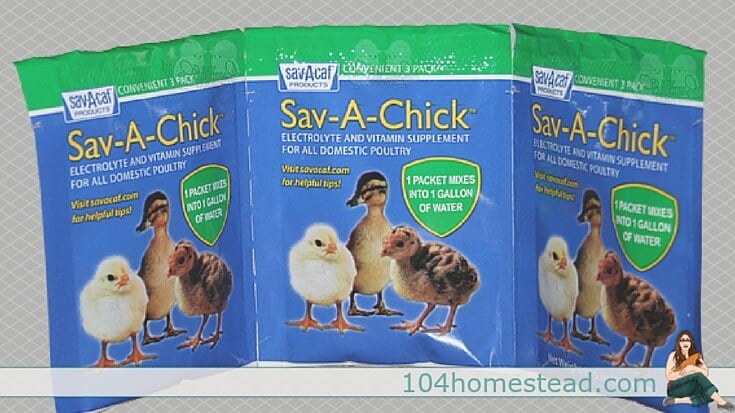 Sav-A-Chick is premeasured, it's easy to find, it's made for poultry specifically, and contains vitamins A, E, D, C and seven B vitamins.