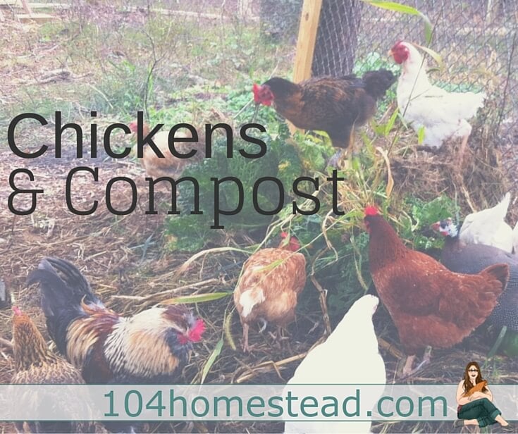 Let Your Chickens Do Your Composting