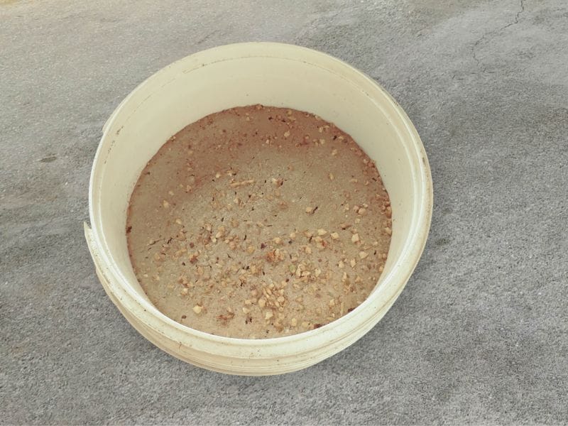 A bucket of partially fermented chicken feed showing grains and pellets.