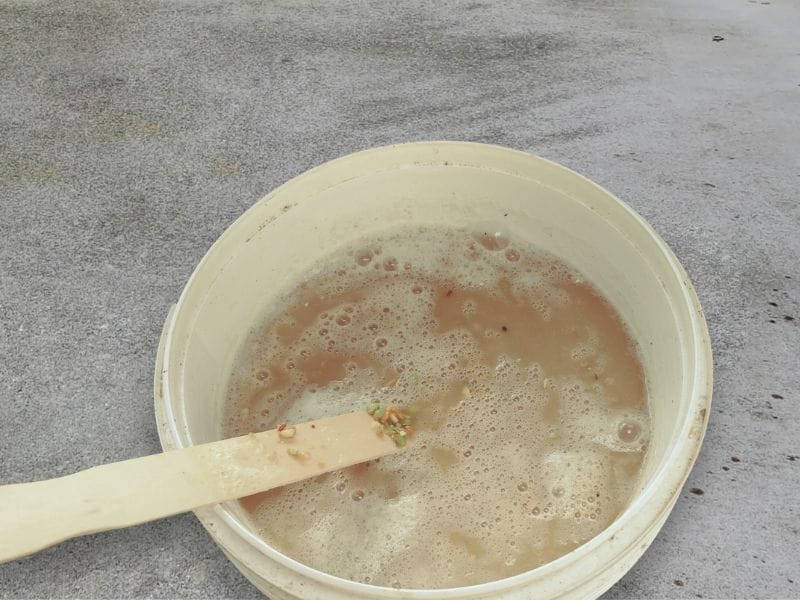 A close-up of fully fermented chicken feed in a bucket, showing a soft and moist texture.