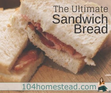 This is an easy homemade sandwich bread recipe that can be made with no fancy equipment. It's been kid tested and I certainly approve. Perfect for PB&Js.