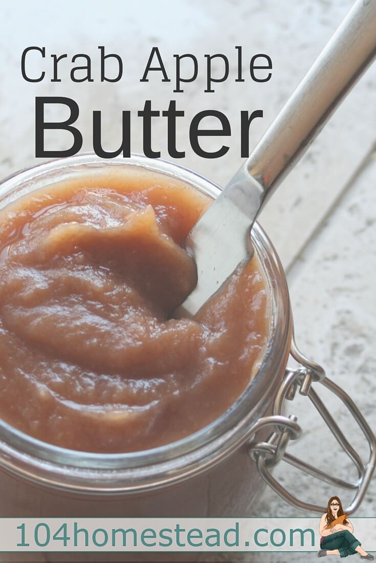 Crab apple butter is an amazing thing. It is like a thick, sweet apple sauce that is used as a condiment. It can be used in a sandwich or on toast. 