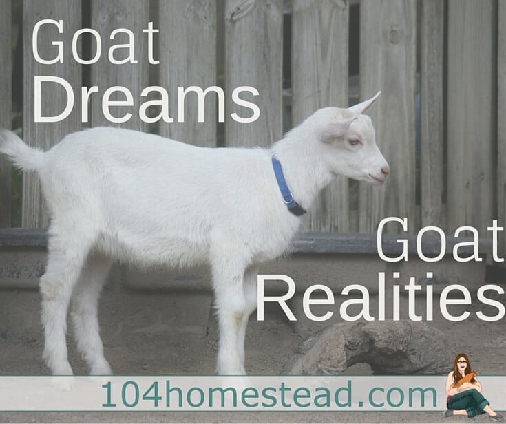 “Are goats worth it?” And to that one question, I can answer an unequivocal “Yes.” New skills are not won easily; they have to be earned. 