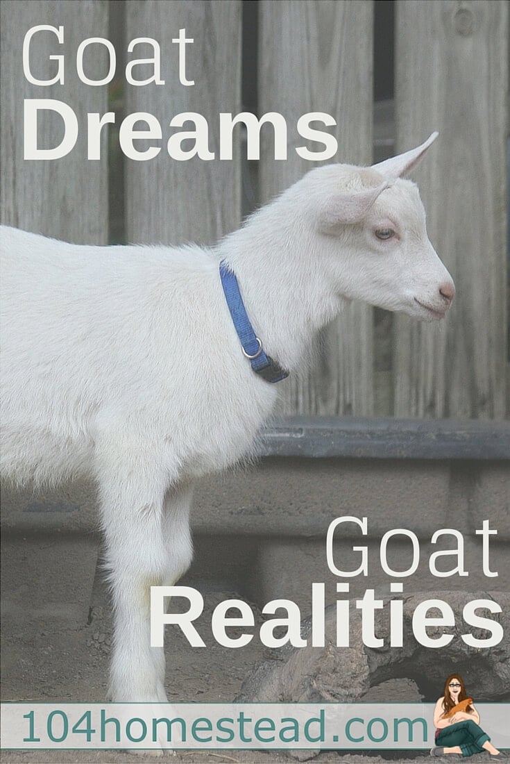 “Are goats worth it?” And to that one question, I can answer an unequivocal “Yes.” New skills are not won easily; they have to be earned. 