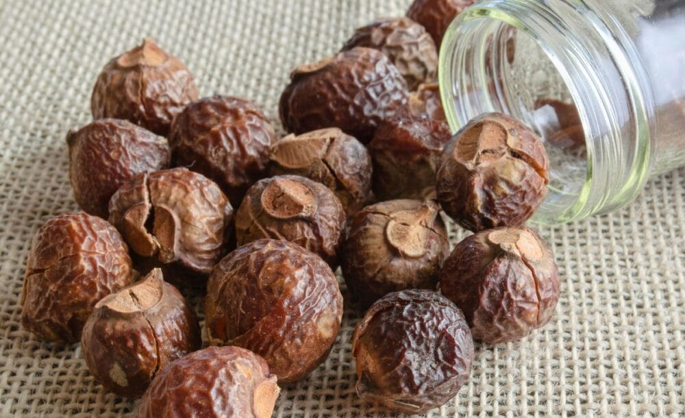 Soap nuts falling out of a mason jar onto burlap.