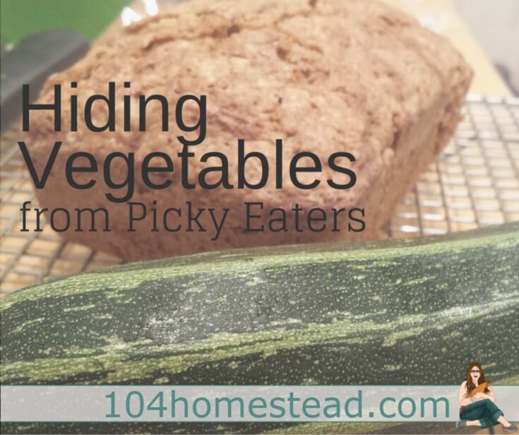 Hiding Vegetables From Picky Eaters