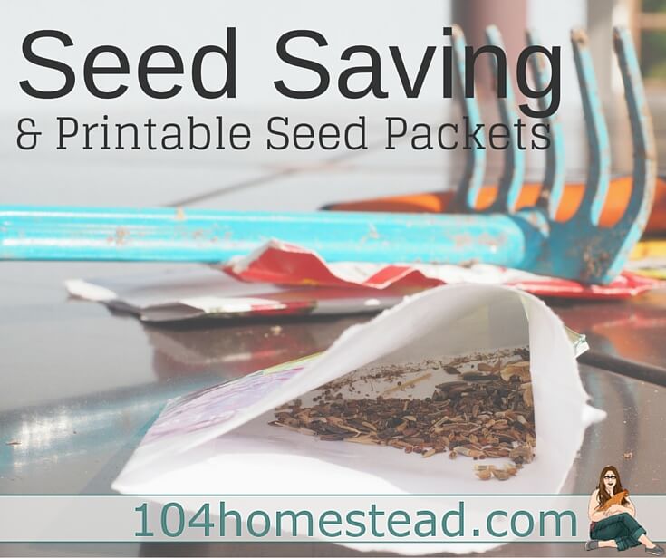 Seed saving is an amazing skill to learn. Not only do you save money and control the quality of your plants from year-to-year, it a rewarding step toward...