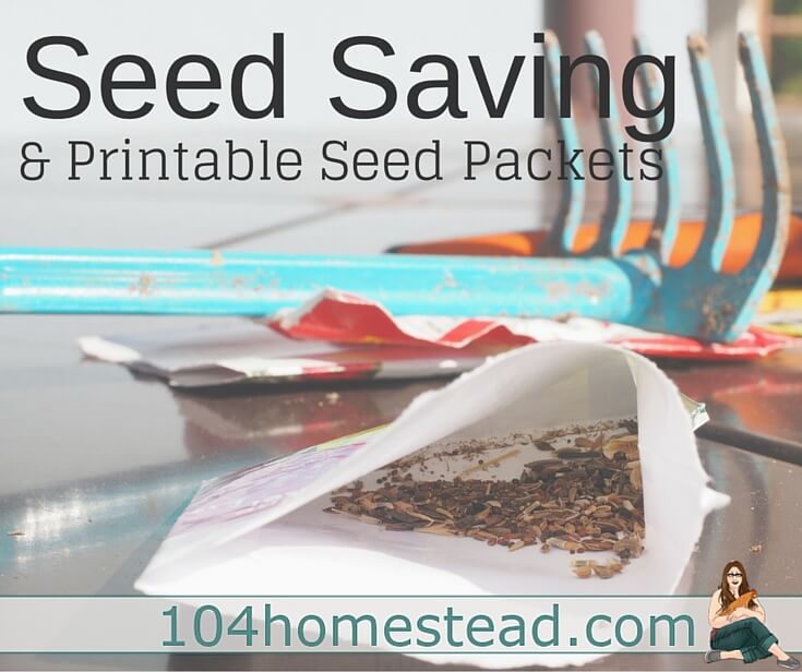 seed saving free printable seed packets