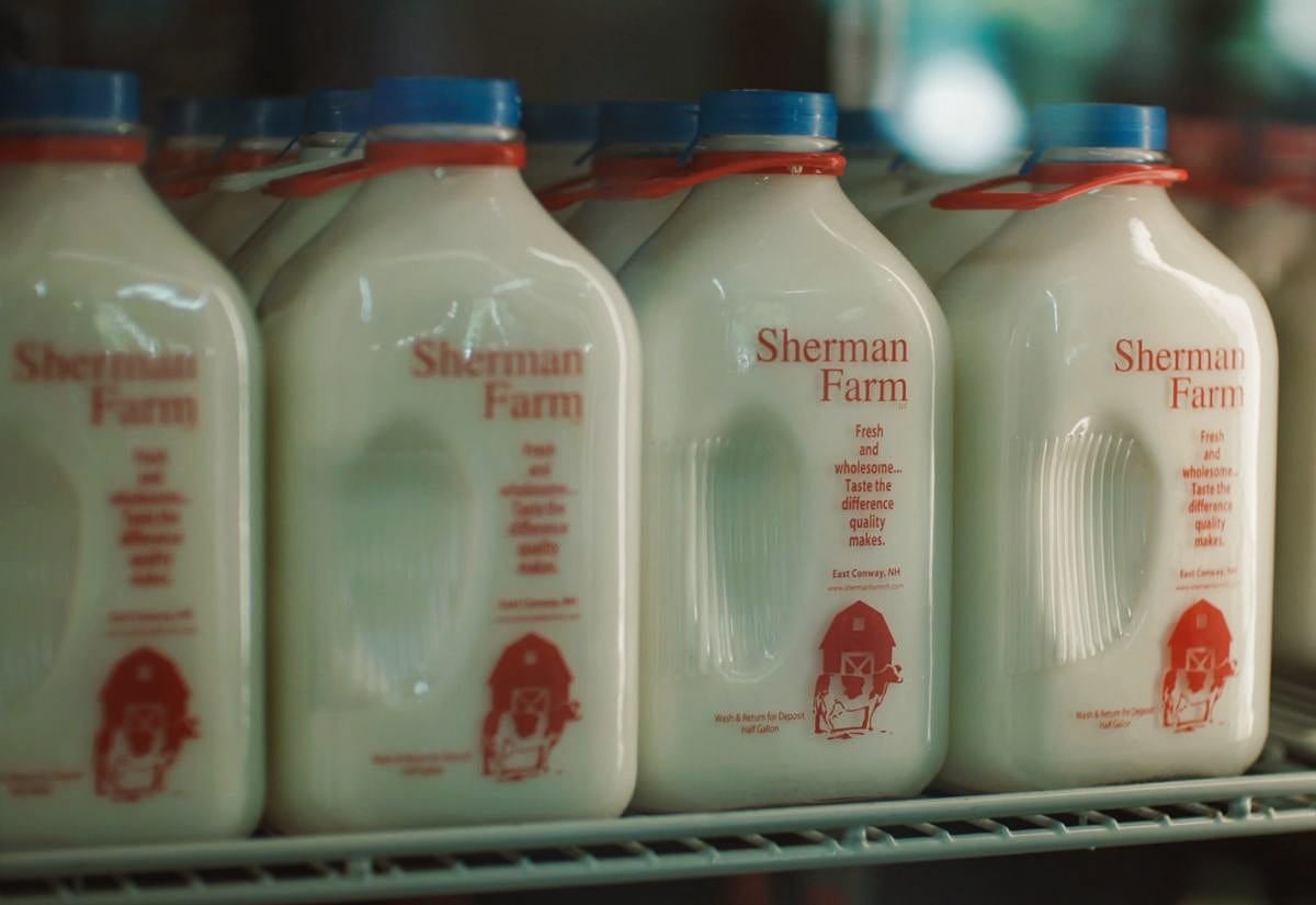 Glass bottles of milk stored on a refrigerator shelf, illustrating proper dairy placement away from the fridge door.