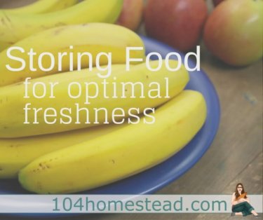 Proper storage of your common food items will increase their freshness duration and prevent premature spoiling. Learn how to store these foods correctly.