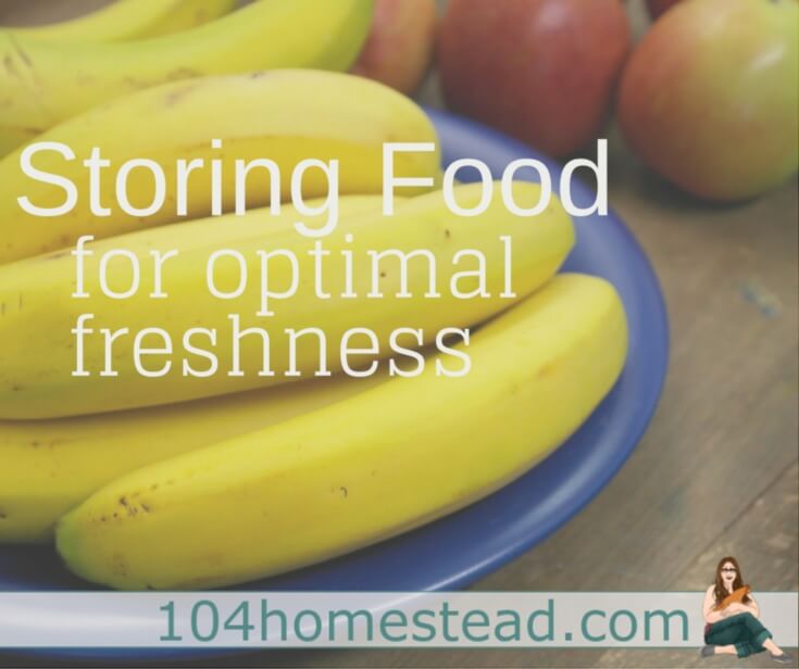 Store Food for Optimal Freshness