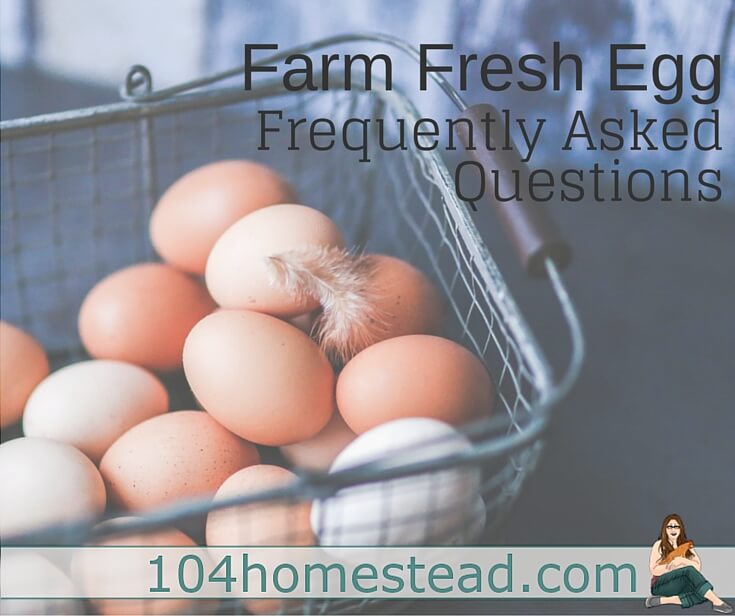 Discover the answers to farm fresh eggs frequently asked questions.Why farm yolks are so dark? Does a blood spot mean it's fertile? Does the color change the flavor?