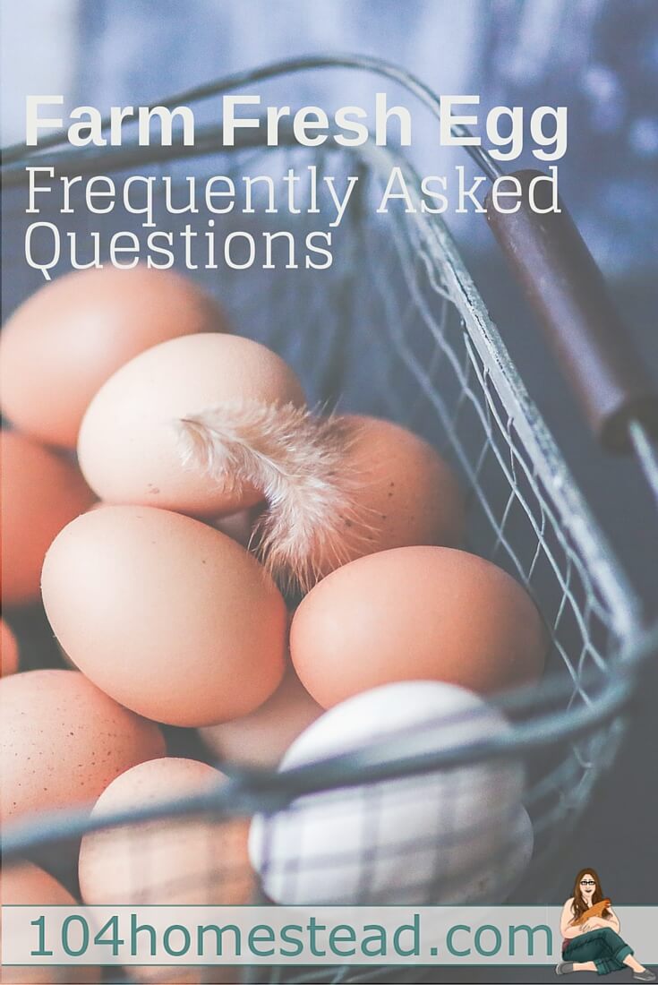 Discover the answers to farm fresh eggs frequently asked questions.Why farm yolks are so dark? Does a blood spot mean it's fertile? Does the color change the flavor?