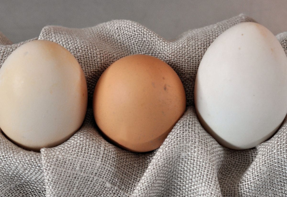 Three eggs—white, light brown, and dark brown—resting on a soft linen fabric.