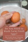 A hand washing a brown farm fresh egg under running water, demonstrating proper egg cleaning techniques.