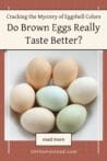 A bowl of farm fresh eggs in various colors—brown, white, and blue—showing the variety of eggshell shades found in backyard flocks.