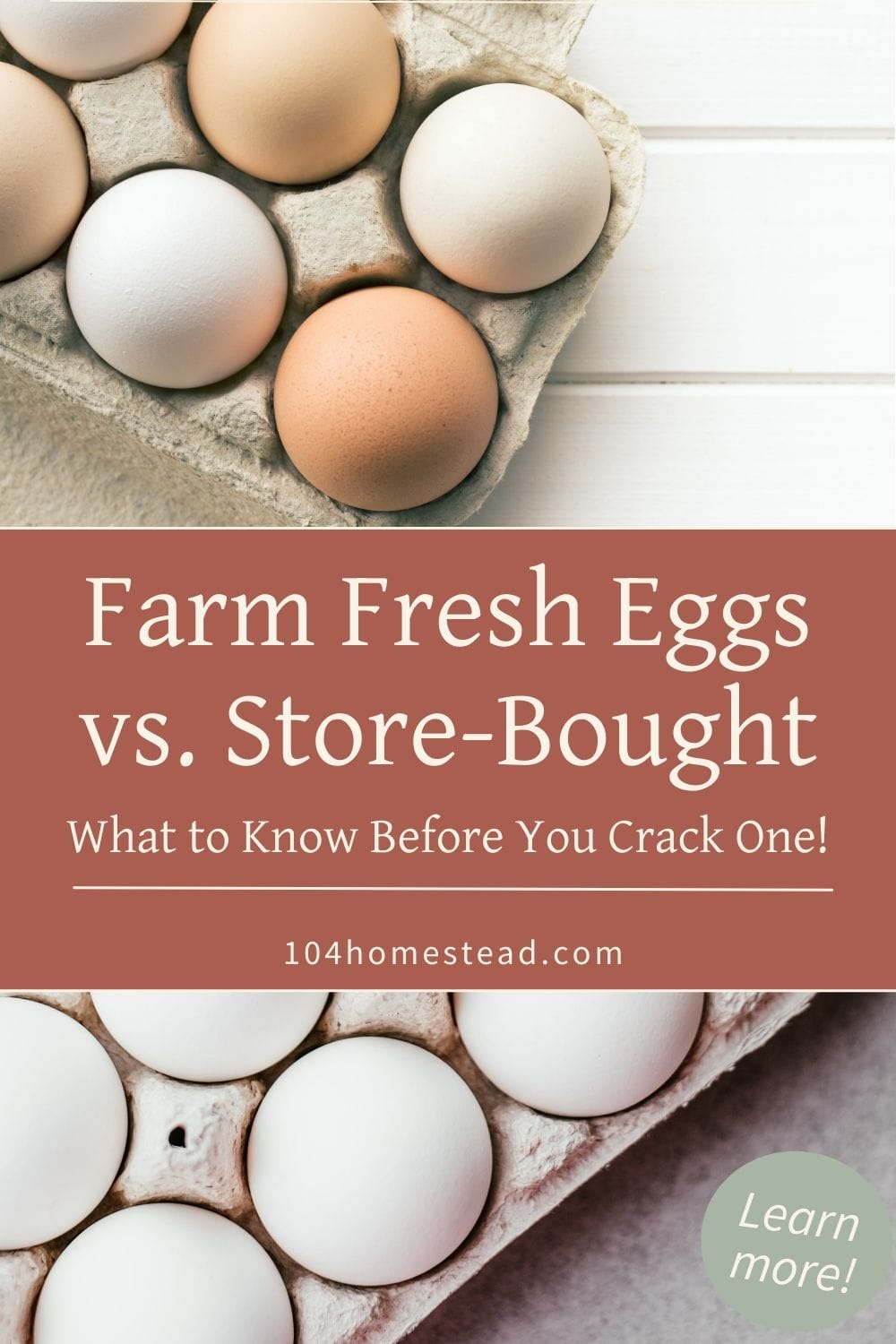 A carton of mixed white and brown eggs sitting on a countertop, comparing farm fresh eggs to grocery store eggs.