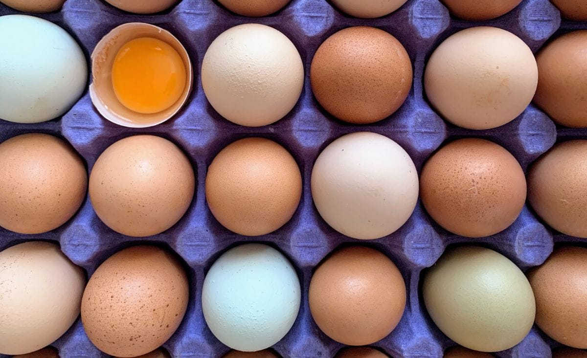 A carton filled with farm fresh eggs of varying colors, with one cracked open showing a deep orange yolk.