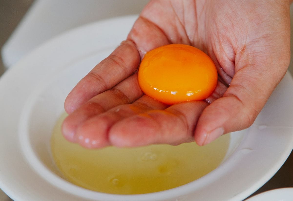 A person holding a deep orange egg yolk in their hand over a bowl of egg whites.