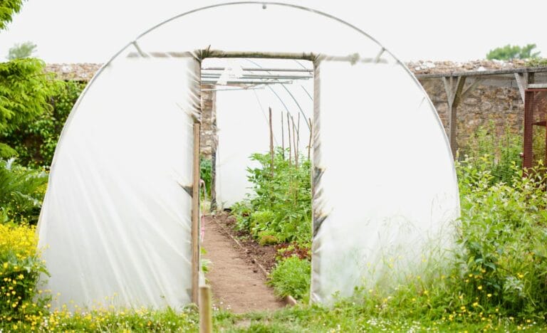 How to Extend Your Growing Season with a Polytunnel