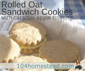 Rolled Oat Sandwich Cookies with Caramel Apple Frosting