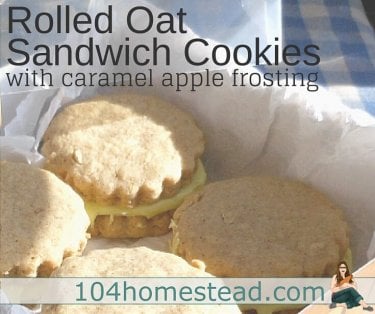 These old-fashioned rolled oat cookies are excellent for gift giving. You can gift them as drop cookies or use cookie cutters and make sandwiches out of them.