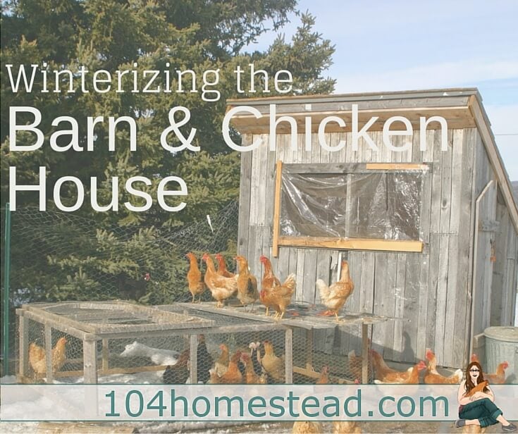 How to Prepare Your Chicken House & Barn for Winter