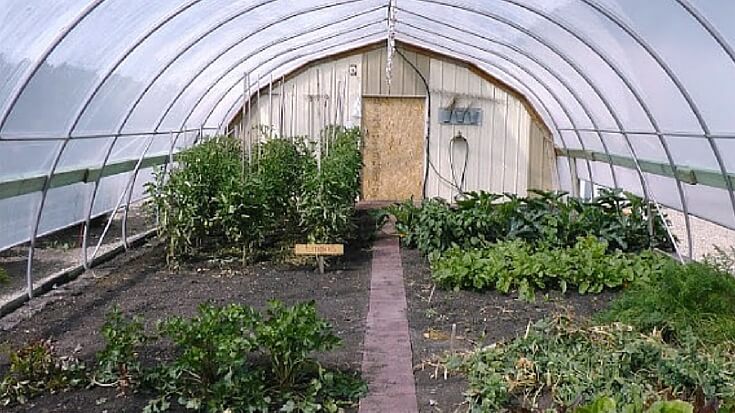 Move a portion of your garden south. How? you might ask. It is simple, with a greenhouse! You just need to find your correct greenhouse for your goals.