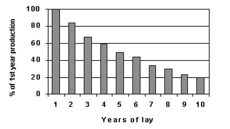 A chart indicating percent of 1st year production versus years of laying eggs.
