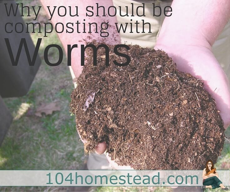 Why You Should Be Composting with Worms {Vermicomposting}