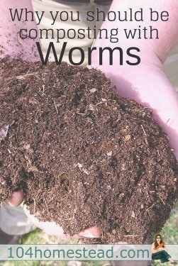 Why You Should Be Composting with Worms