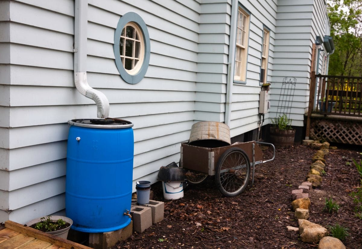 A blue rain barrel attached to a house downspout, placed on concrete blocks beside a rustic garden cart.