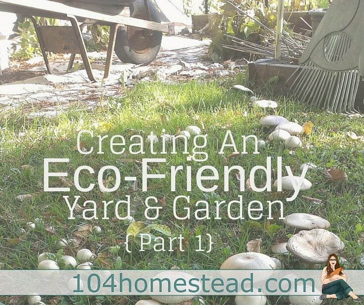 Creating an Eco-Friendly Yard & Garden {Part 1}